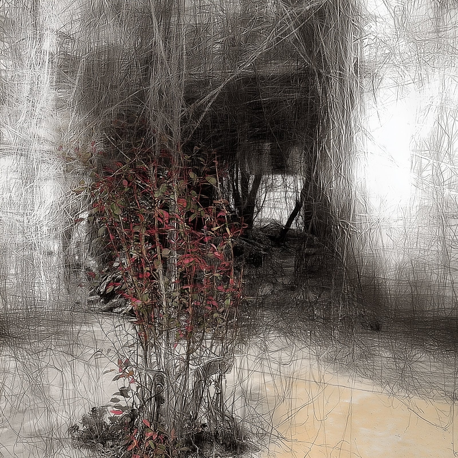 El peso de lo vivo, obra digital de Fausto Cantú